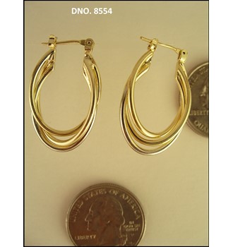 Earring DSN 8554