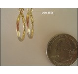Earring DSN 8556