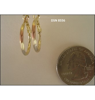 Earring DSN 8556
