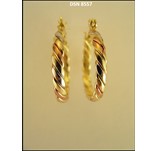 Earring DSN 8557