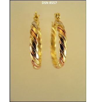 Earring DSN 8557