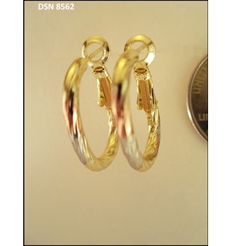 Earring DSN 8562
