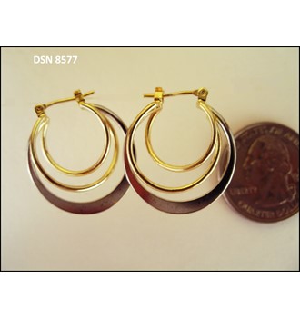 Earring DSN 8577